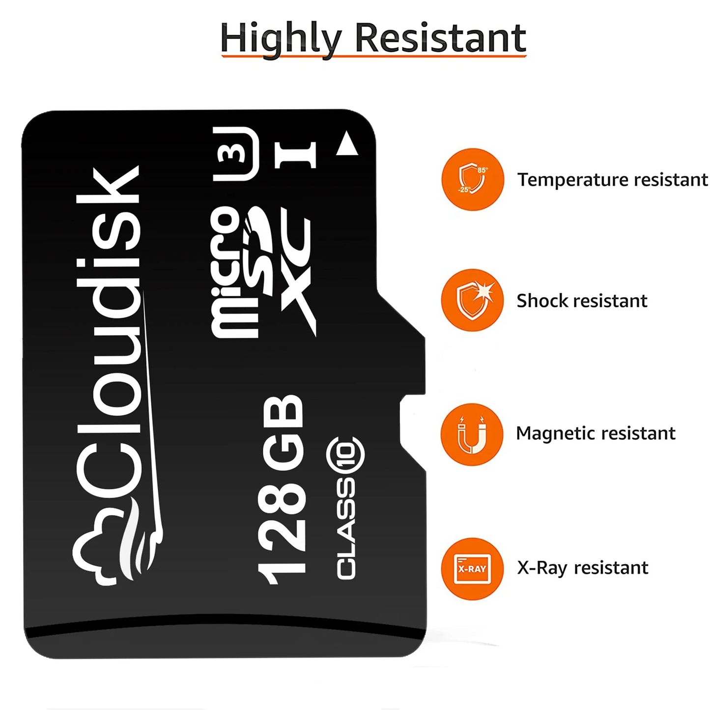 Cloudisk Micro SD Card